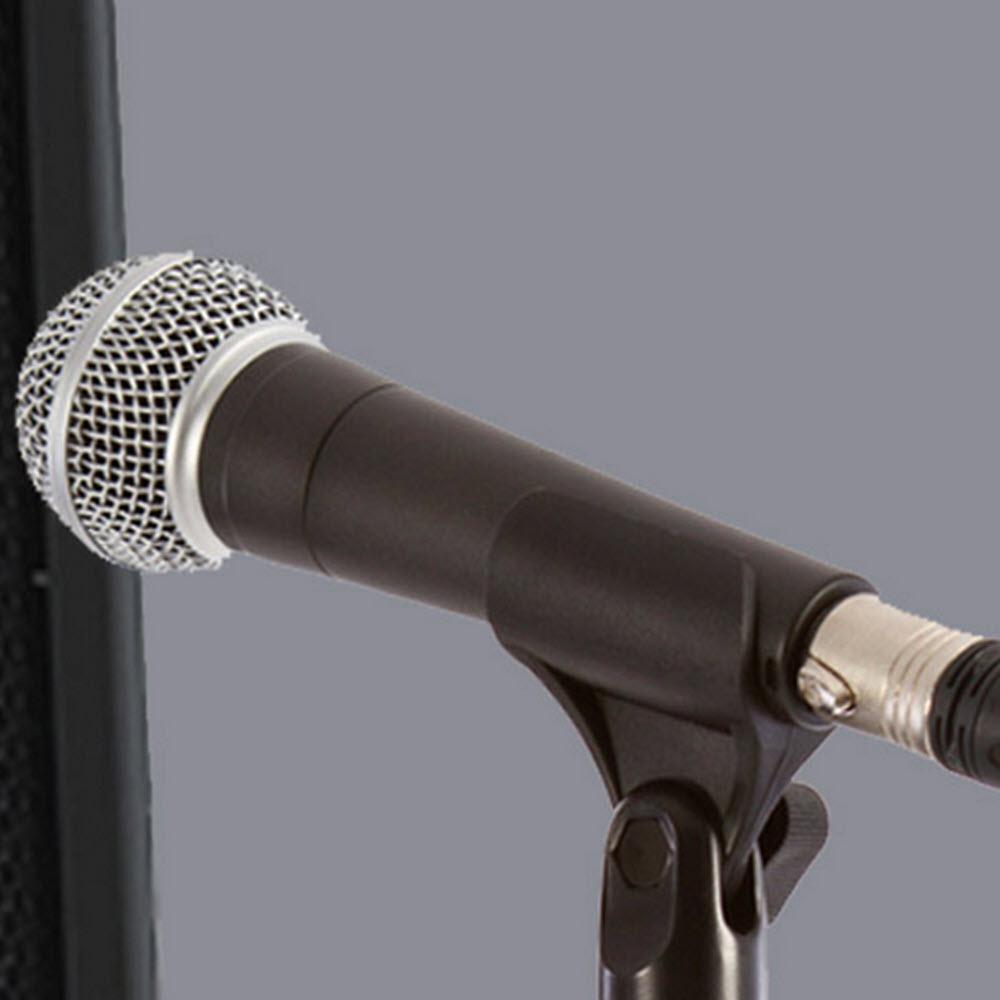 zoom test microphone